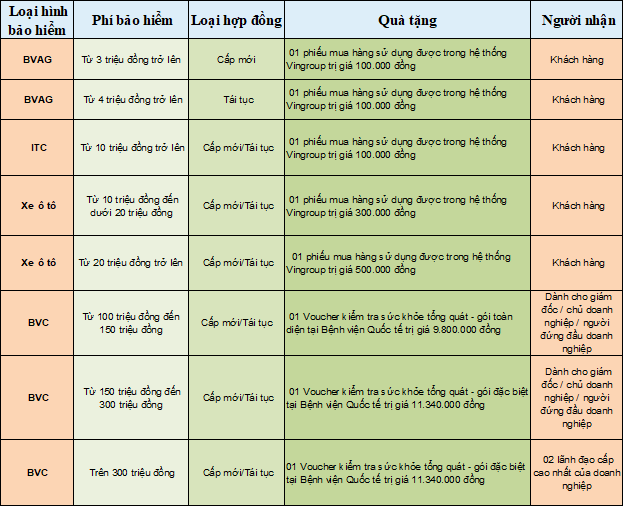 CTKM chào đón năm mới, tặng voucher mua hàng tại hệ thống của Vingroup 5 Khuyến mại tặng Voucher tại ibaoviet