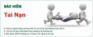 bao hiem tai nan la gi 1