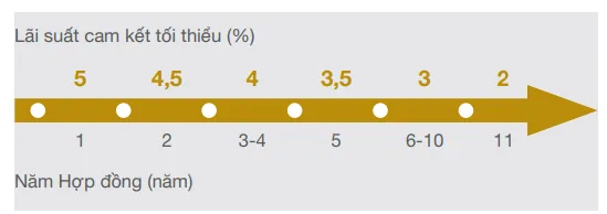 Lãi suất bảo hiểm An Phát Trọn Đời
