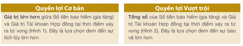 Quyền lợi bảo hiểm An Phát Trọn Đời