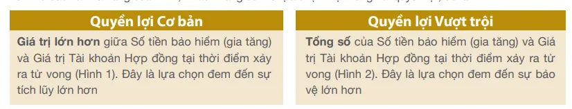 Quyền lợi bảo hiểm tử vong An Phát Trọn Đời