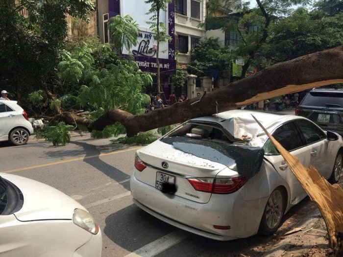 Tai họa bất khả kháng do thiên nhiên