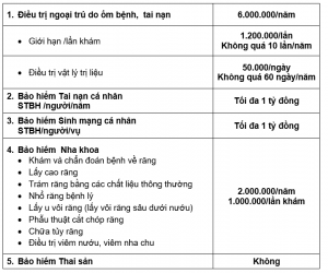 Quyền lợi bảo hiểm bổ sung gói Bạc của Bảo Việt An Gia 2 QL bỏ sung gói bạc của BVAG