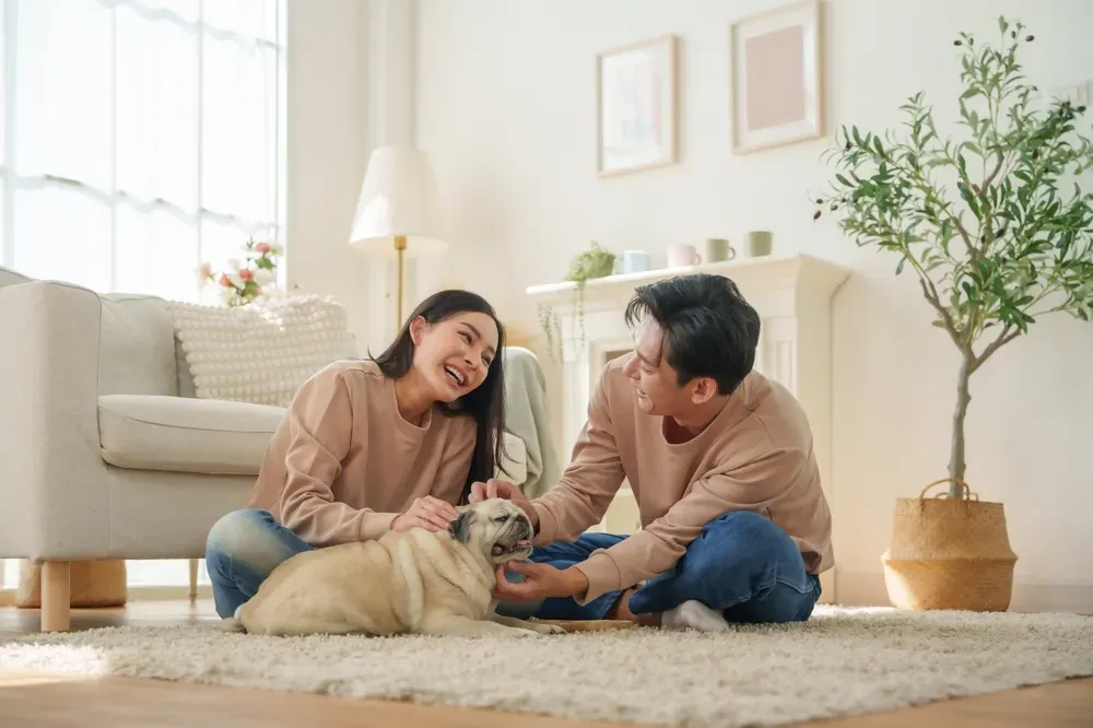 Gói bảo hiểm An Khang Như Ý