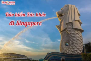 Bảo hiểm sức khỏe đi Singapore 3 Bảo hiểm sức khỏe đi Singapore