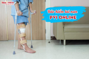 bao hiem tai nan pvi online