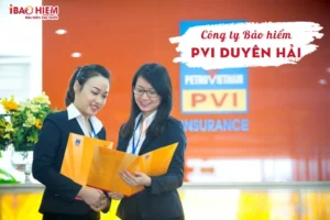 Công ty bảo hiểm PVI Duyên Hải