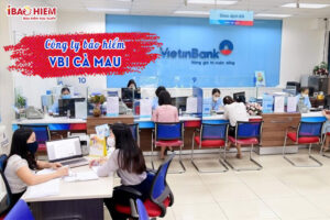 Cong ty bao hiem VBI Ca Mau