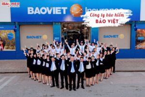 Công ty bảo hiểm Bảo Việt