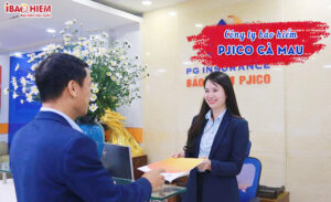 Cong ty bao hiem PJICO Ca Mau