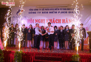 Cong ty bao hiem PJICO Gia Lai