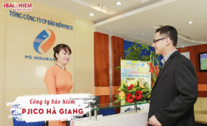 Cong ty bao hiem PJICO Ha Giang