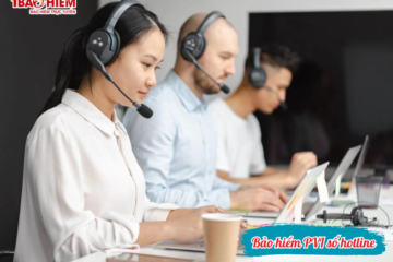 Bảo hiểm PVI số hotline