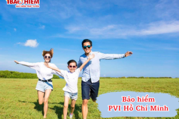 Bảo hiểm PVI Hồ Chí Minh