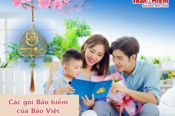 Các gói Bảo hiểm của Bảo Việt