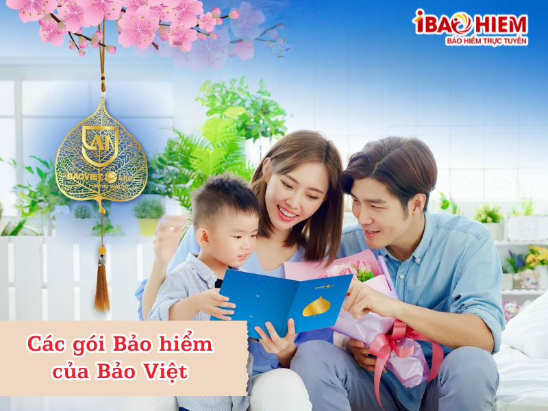 Các gói Bảo hiểm của Bảo Việt