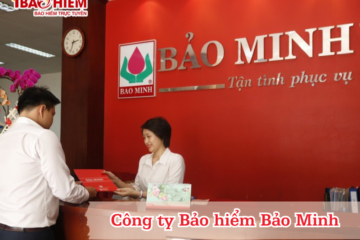 Công ty Bảo hiểm Bảo Minh