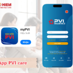 App PVI care