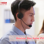 Hotline Bảo hiểm PVI