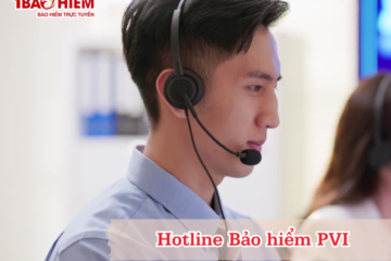 Hotline Bảo hiểm PVI