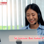 Số hotline Bảo hiểm PVI