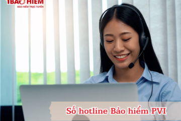 Số hotline Bảo hiểm PVI