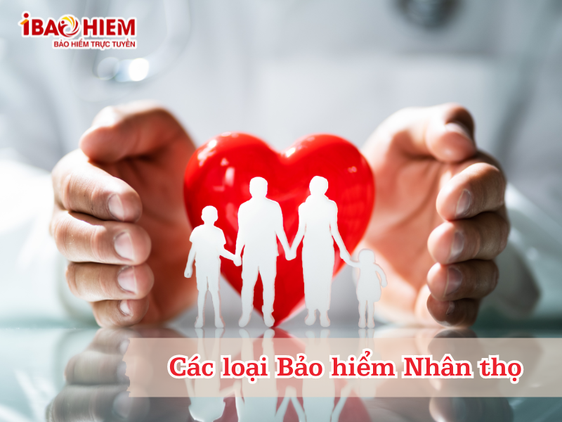 Các loại Bảo hiểm Nhân thọ