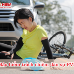 Bảo hiểm trách nhiệm dân sự PVI