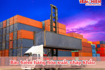 Bảo hiểm hàng hóa xuất nhập khẩu