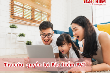 Tra cứu quyền lợi Bảo hiểm PVI