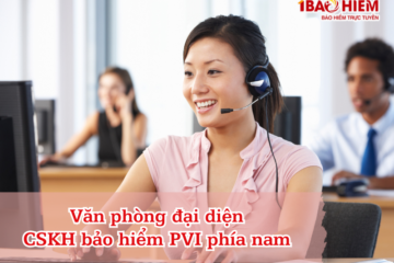 Văn phòng đại diện CSKH PVI phía nam