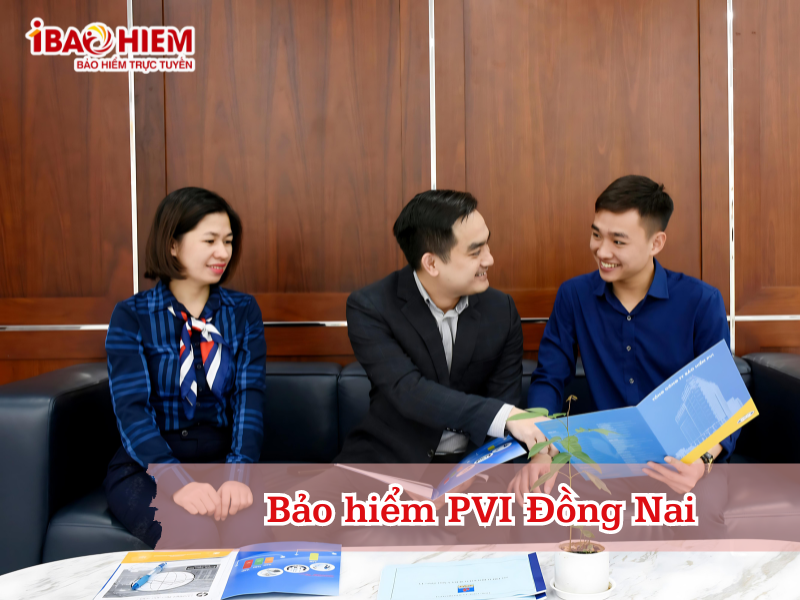 Bảo hiểm PVI Đồng Nai