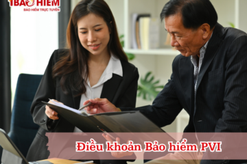 Điều khoản Bảo hiểm PVI