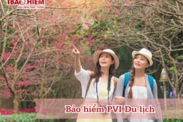 Bảo hiểm PVI Du lịch