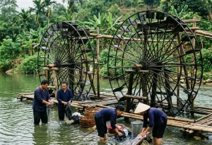 Mua bảo hiểm du lịch tại Phú Thọ 4 Mua bảo hiểm du lịch tại Phú Thọ