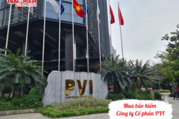 Mua bảo hiểm Công ty Cổ phần PVI