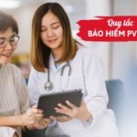 Quy tắc bảo hiểm PVI care