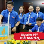 Bảo hiểm PVI Thái Nguyên