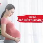 Các gói bảo hiểm thai sản 2024