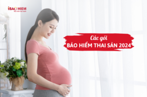 Các gói bảo hiểm thai sản 2024