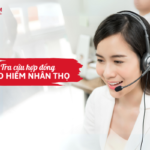 Tra cứu hợp đồng bảo hiểm nhân thọ