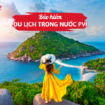 Bảo hiểm du lịch trong nước PVI