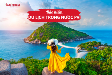 Bảo hiểm du lịch trong nước PVI