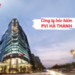 PVI Hà Thành