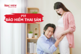 PVI bảo hiểm thai sản