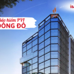 Bảo hiểm PVI Đông Đô