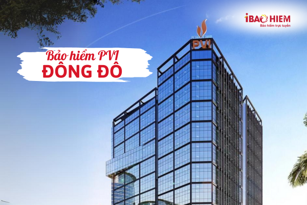 Bảo hiểm PVI Đông Đô