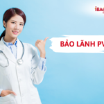 Bảo lãnh PVI