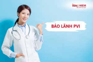 Bảo lãnh PVI