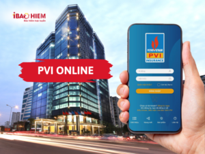 PVI online